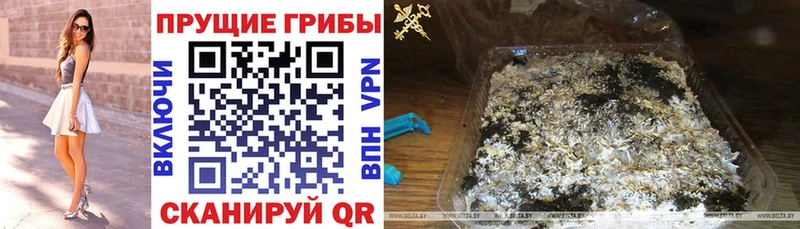 Купить закладки  Рославль  Галлюциногенные грибы GOLDEN TEACHER 